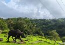 Mengintip Potensi Wisata Alam Kuningan Di Daerah Rebana