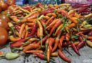 Harga Sembako Jatim Hari Ini, Cabe Rawit Naik Dan Bawang Merah Turun